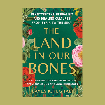 The Land in Our Bones