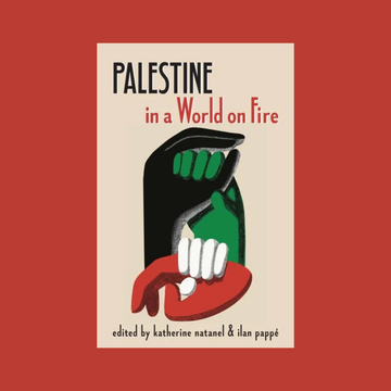 Palestine in a World on Fire