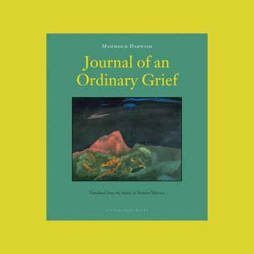 Journal of an Ordinary Grief
