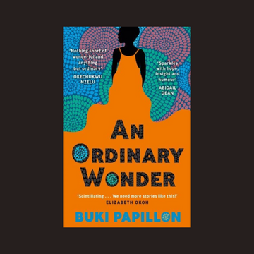 An Ordinary Wonder